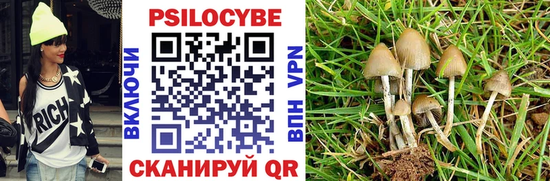 Псилоцибиновые грибы GOLDEN TEACHER  где найти   omg маркетплейс  Арзамас 